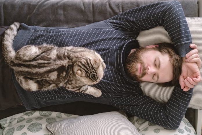 dlaczego kot śpi na człowieku